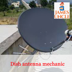 Dish antenna mechanic Mr. Ayush Mandal in Silinda